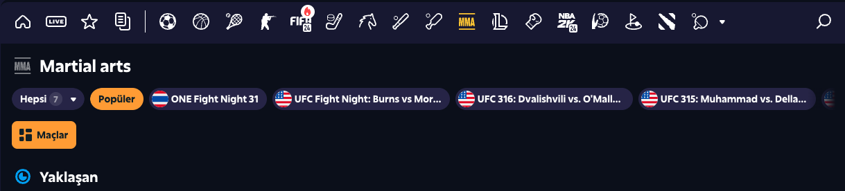 roobetcasino TR mma image 2