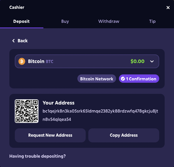 EN Roobet Casino Deposit Crypto image 10