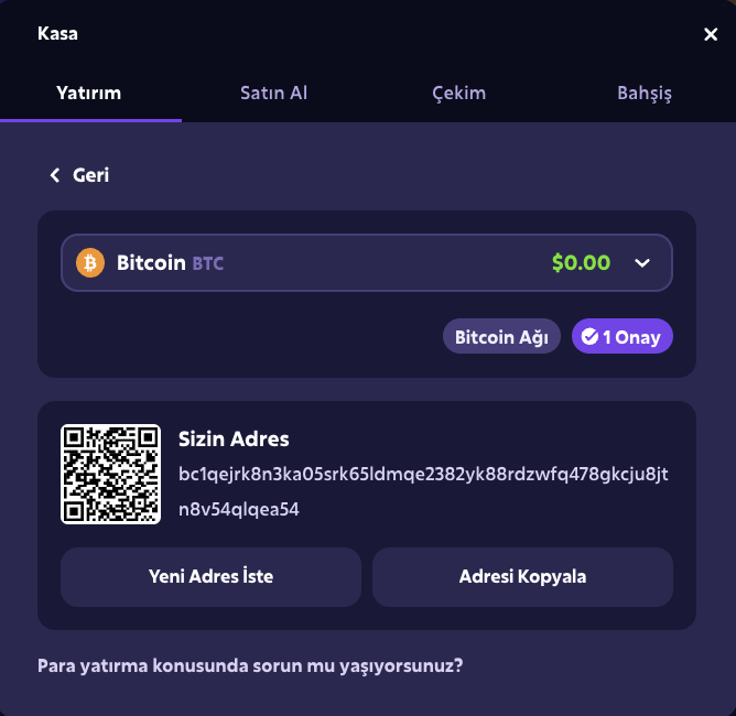 TR Roobet Casino Deposit Crypto image 10