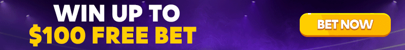 ROOBET sb en 800x100
